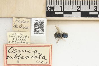 Media type: image;   Entomology 790627 Aspect: Labels